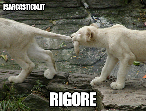 Cat meme - rigore