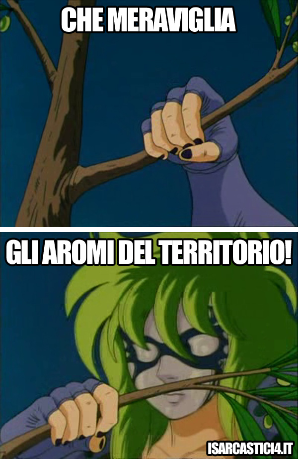 Cavalieri dello zodiaco meme ita - Km zero