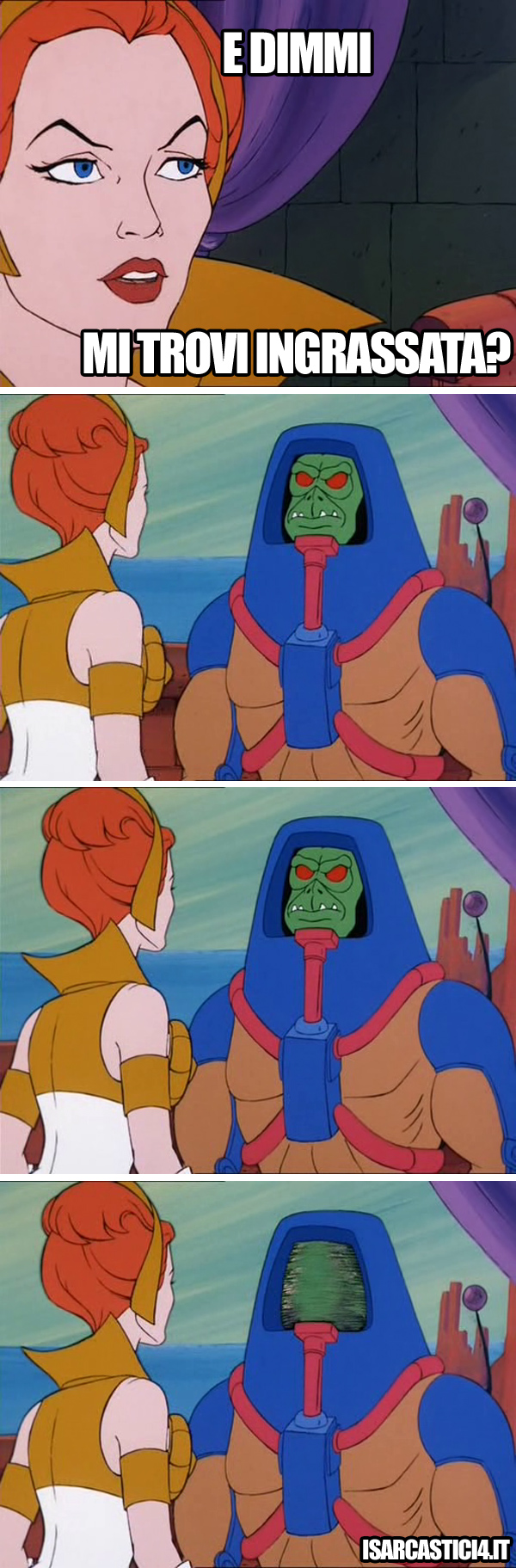 MOTU, Masters Of The Universe meme ita - Mi trovi ingrassata?