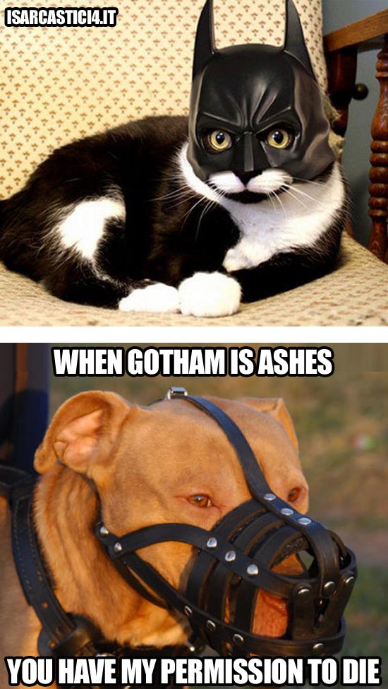 Batman, the dark knight rises - Bane meme